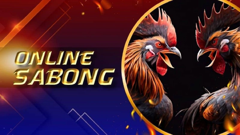 Introduction to Sabong Platform